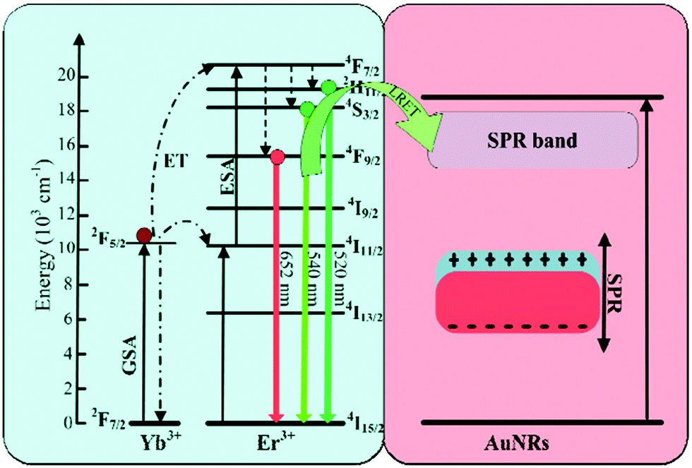 Structures, plasmon-enhanced luminescence, and applications