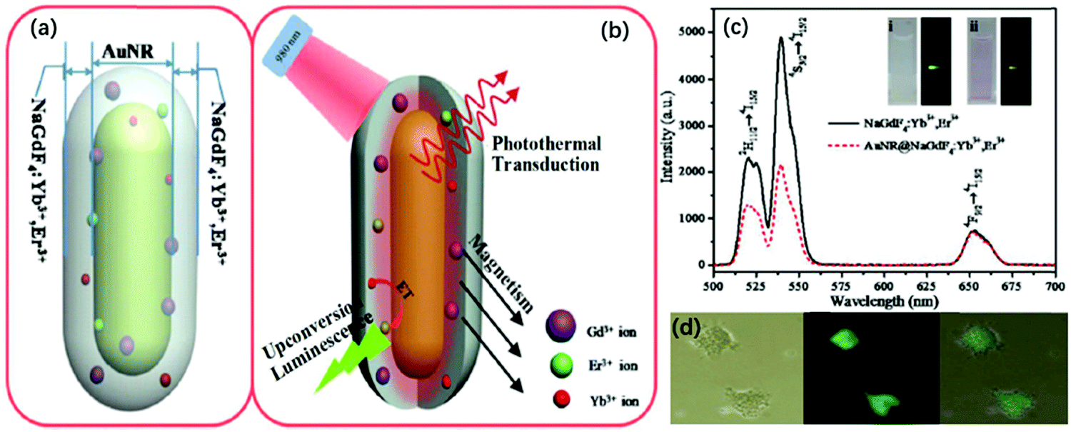 Structures, plasmon-enhanced luminescence, and applications of 