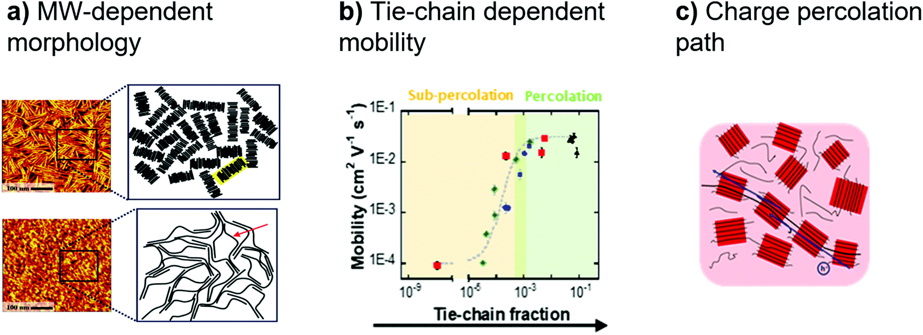 Controlling morphology and microstructure of conjugated polymers