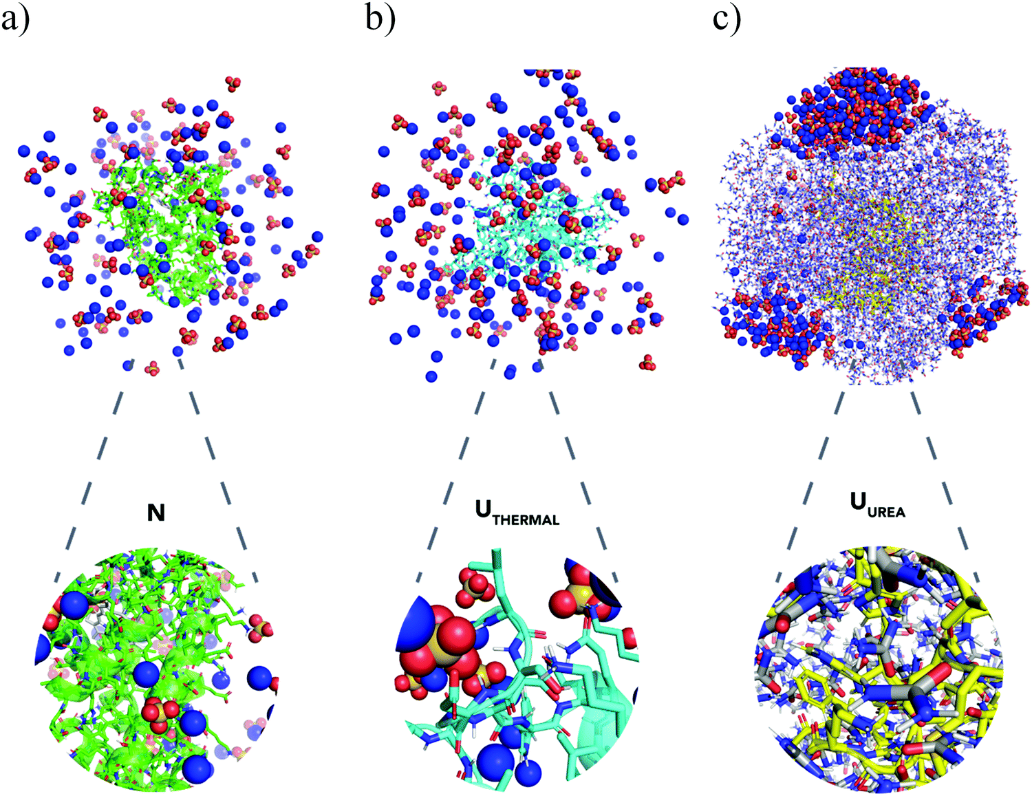 Hofmeister Effects On Protein Stability Are Dependent On The Nature Of The Unfolded State Physical Chemistry Chemical Physics Rsc Publishing Doi 10 1039 D1cpa