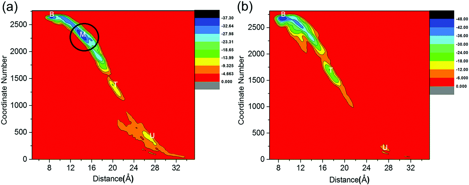 Exploring the thermodynamic, kinetic and inhibitory mechanisms of