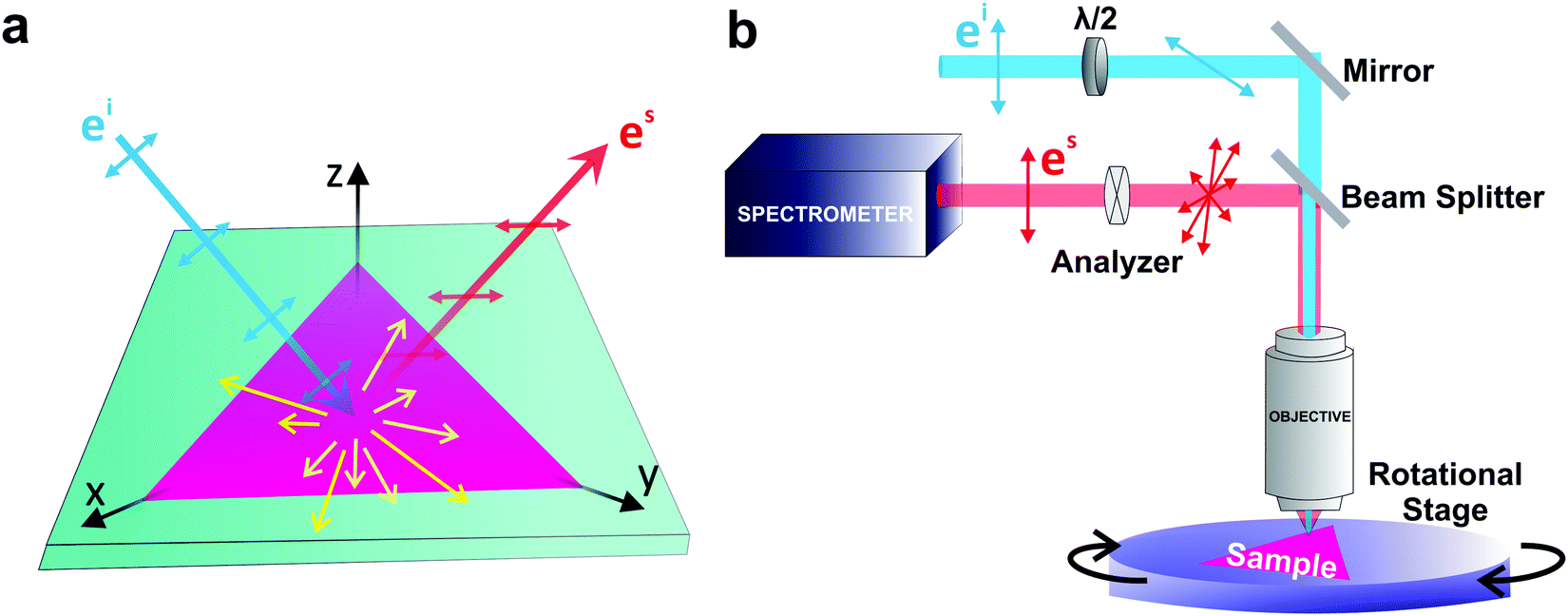 Polarized Raman spectroscopy in low-symmetry 2D materials: angle-resolved  experiments and complex number tensor elements - Physical Chemistry  Chemical Physics (RSC Publishing) DOI:10.1039/D1CP03626B