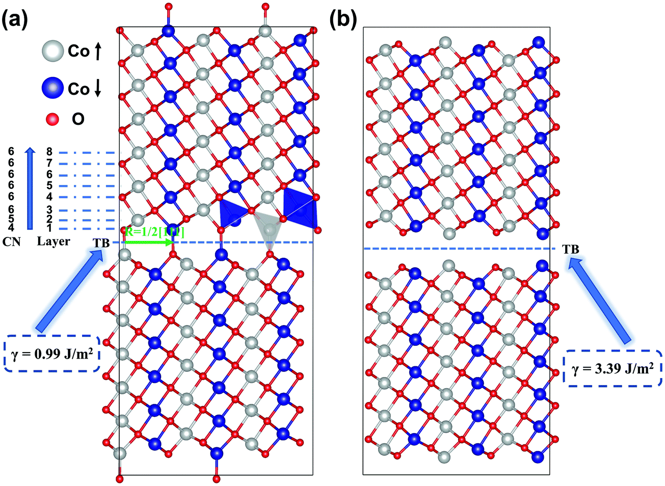 Atomic structures of twin boundaries in CoO - Physical
