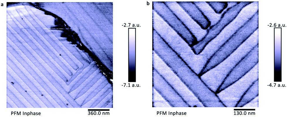 a) and (b) SS-PFM phase and amplitude loops of the BiF
