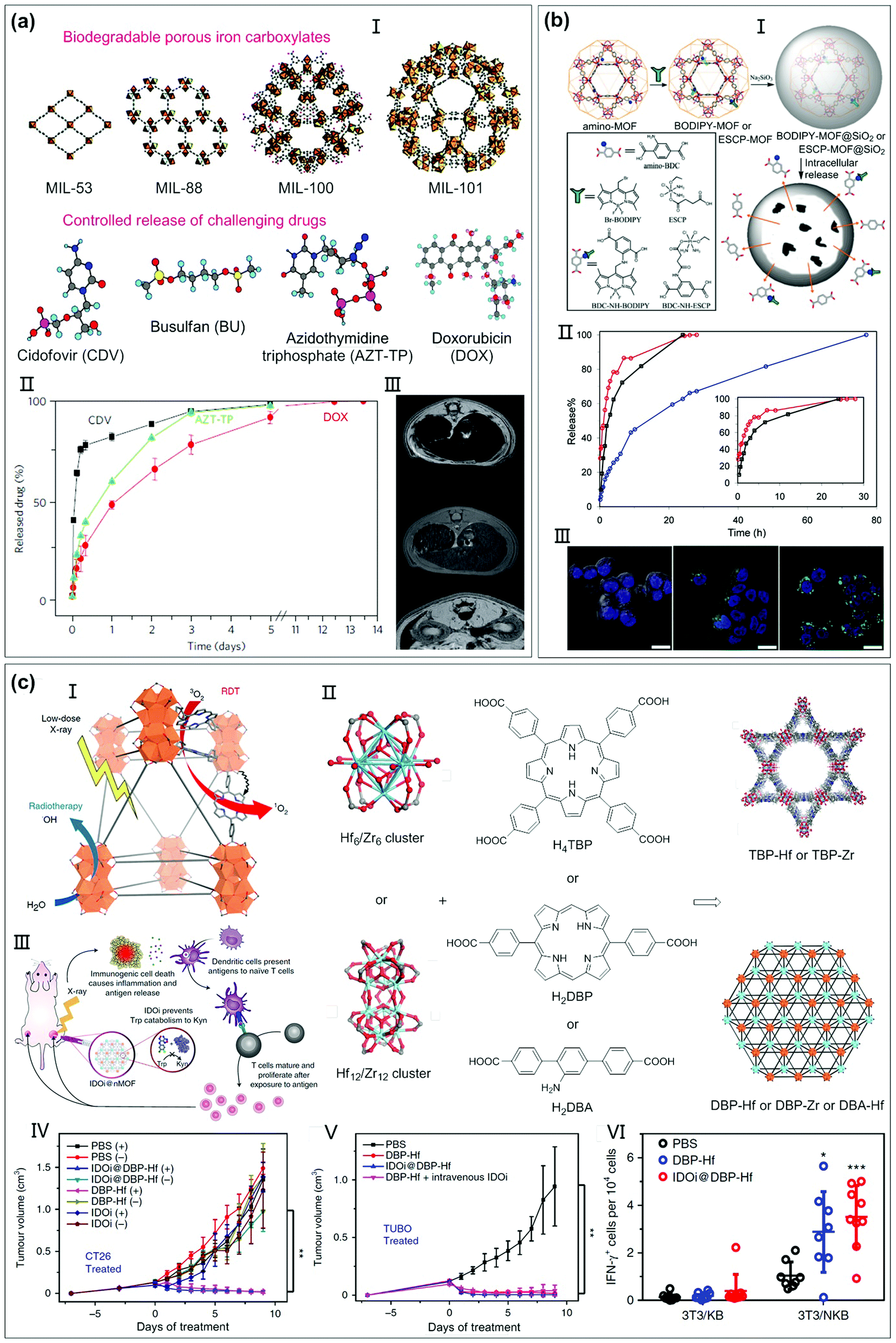 Chemotherapeutic drug–DNA hybrid nanostructures for anti-tumor therapy -  Materials Horizons (RSC Publishing) DOI:10.1039/D0MH00715C