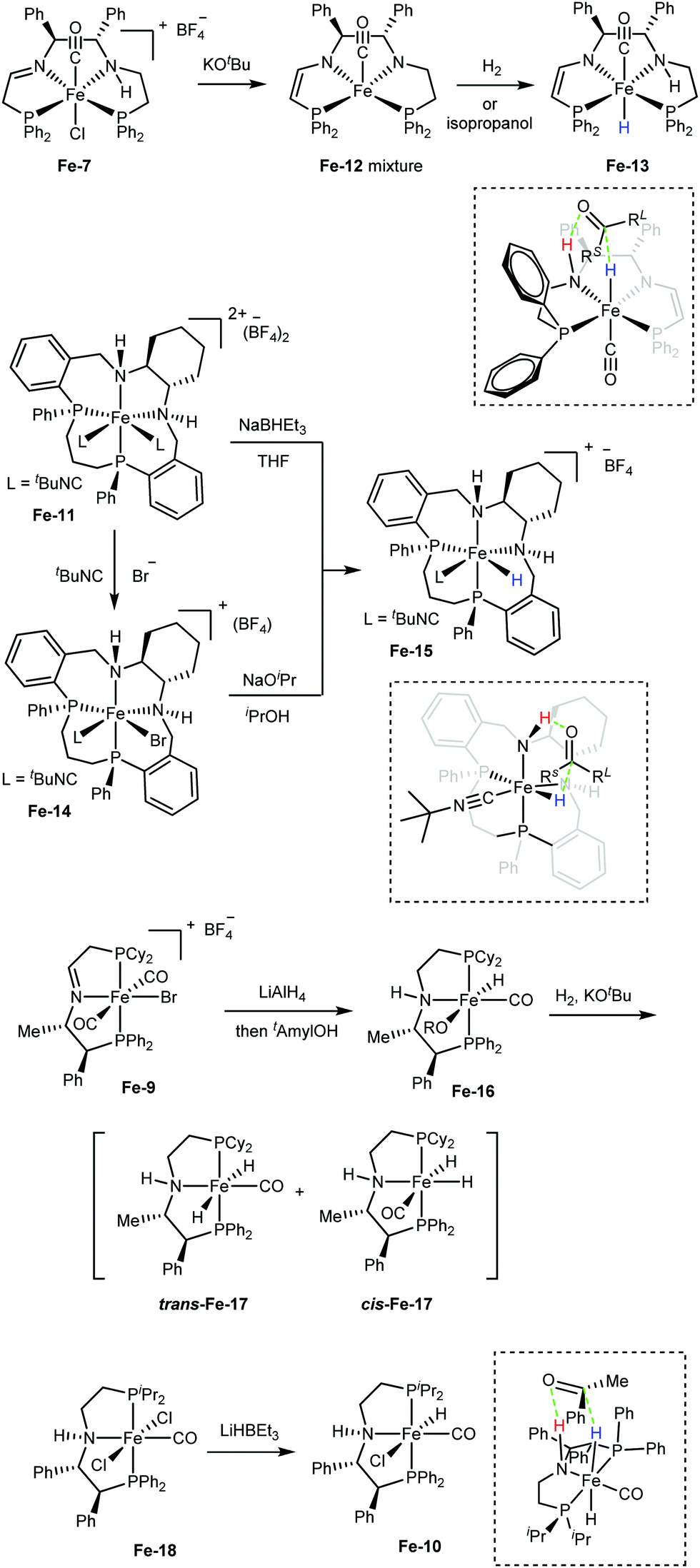 Asymmetric hydrogenation catalyzed by first-row transition metal