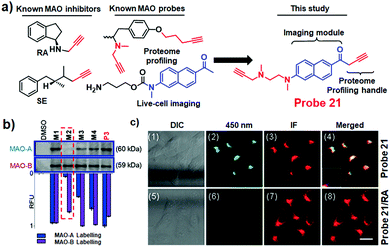 Fluorescent probes for bioimaging of potential biomarkers in 