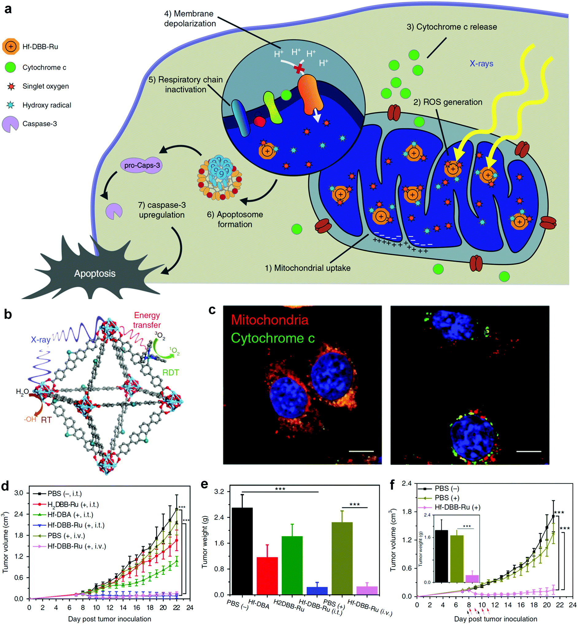 Multifunctional metal–organic framework heterostructures for Multifunctional metal–organic framework heterostructures for