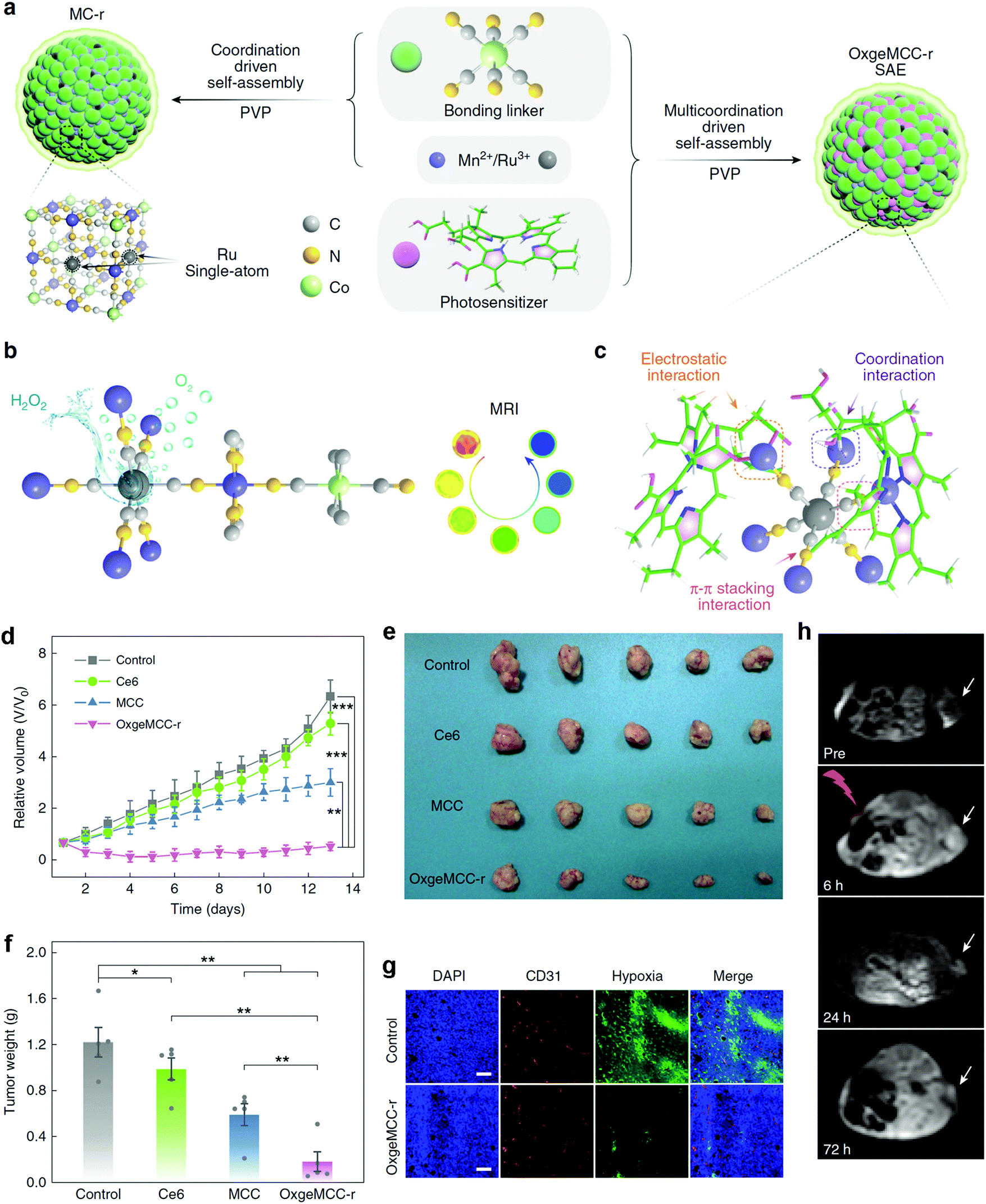Multifunctional metal–organic framework heterostructures for