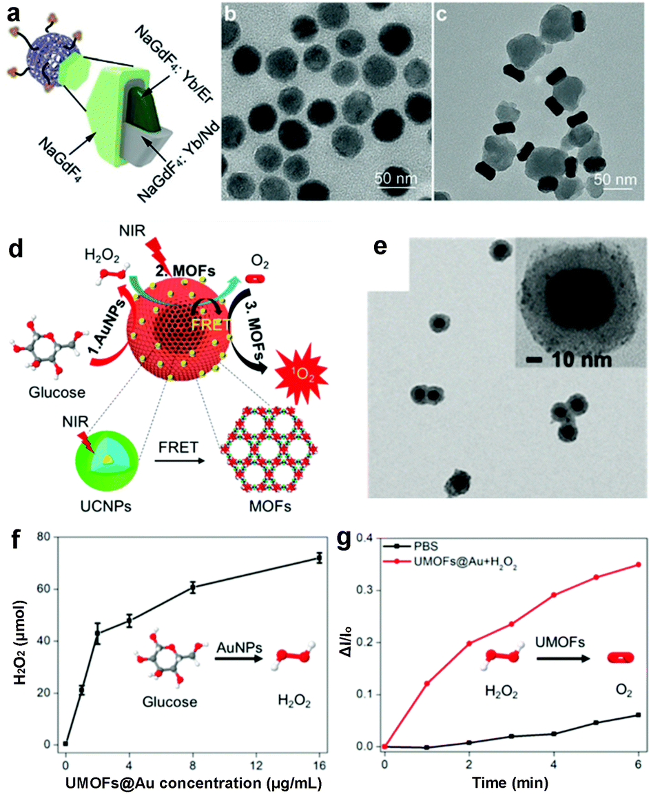 Multifunctional metal–organic framework heterostructures for Multifunctional metal–organic framework heterostructures for