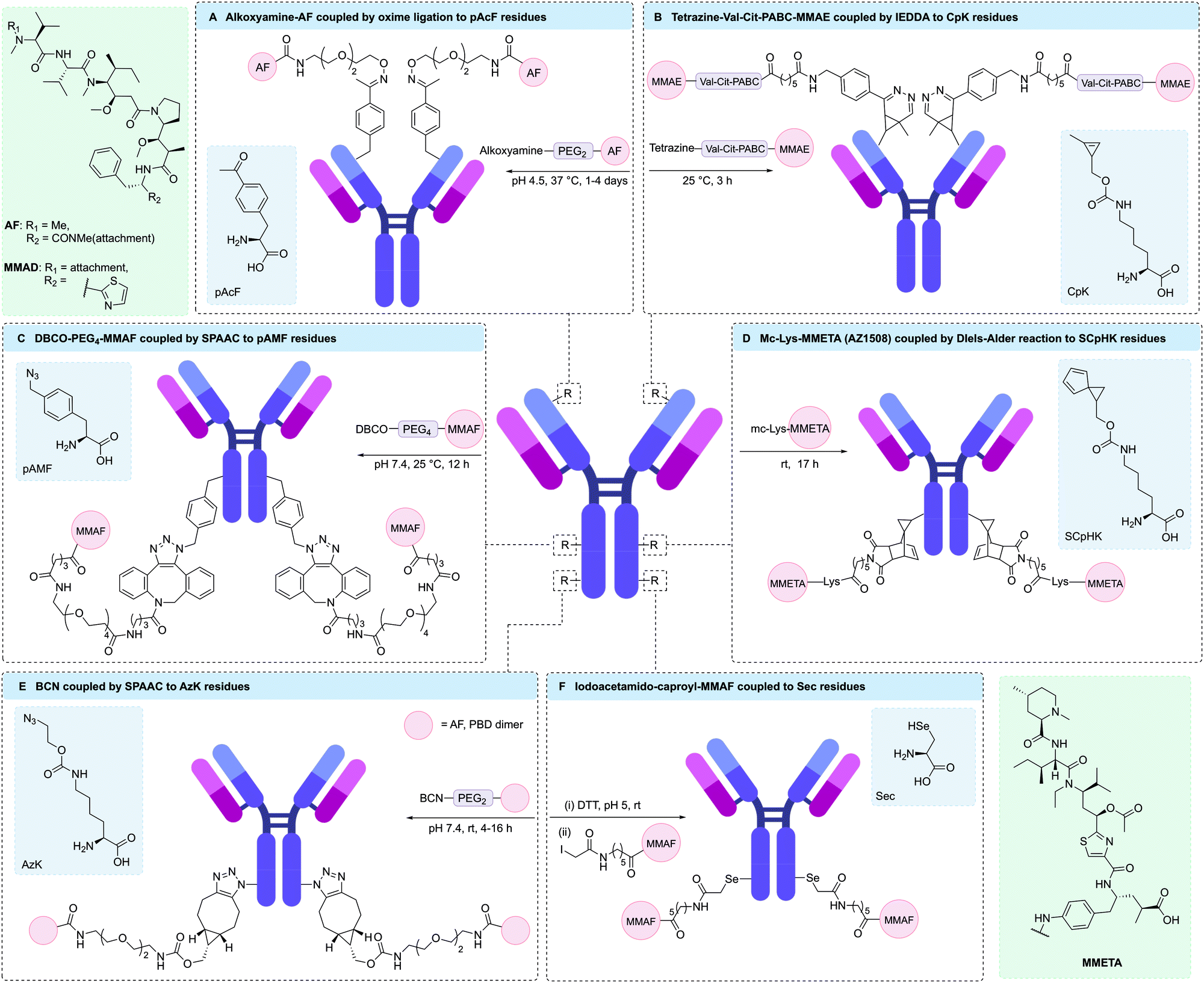 Site-selective modification strategies in antibody–drug conjugates -  Chemical Society Reviews (RSC Publishing) DOI:10.1039/D0CS00310G