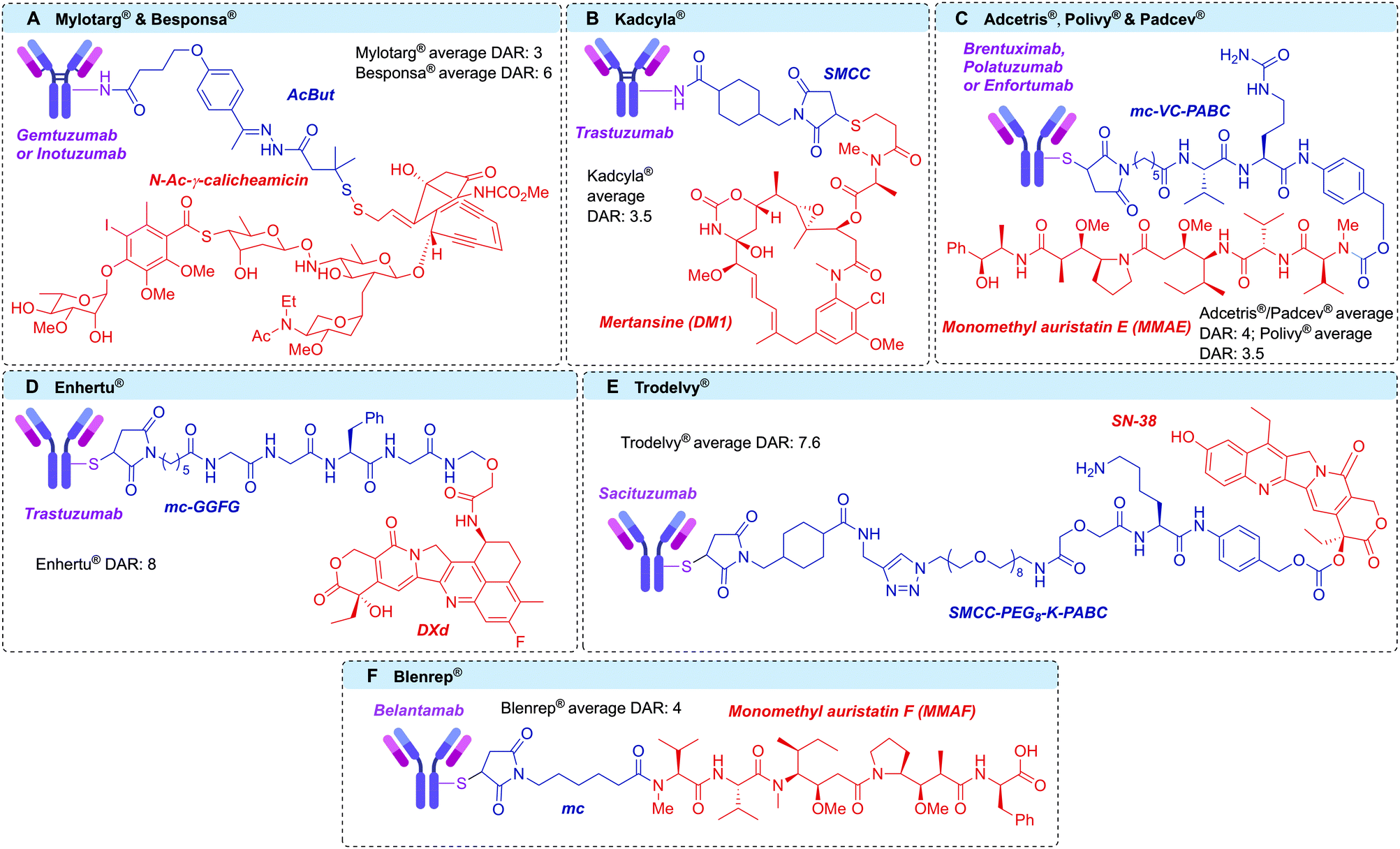 Site-selective modification strategies in antibody–drug conjugates 