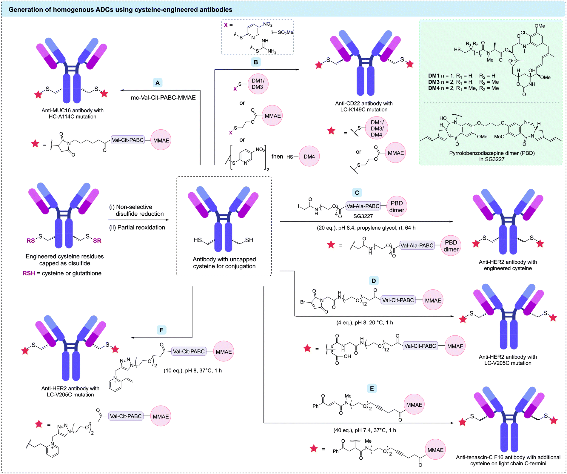 Site-selective modification strategies in antibody–drug conjugates -  Chemical Society Reviews (RSC Publishing) DOI:10.1039/D0CS00310G