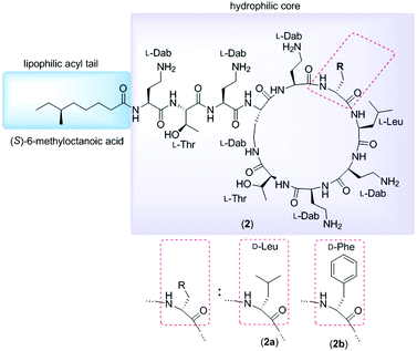 Photo Induced Radical Thiol Ene Chemistry A Versatile Toolbox For Peptide Based Drug Design Chemical Society Reviews Rsc Publishing Doi 10 1039 D0csa