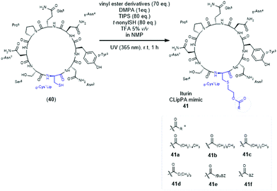 Photo Induced Radical Thiol Ene Chemistry A Versatile Toolbox For Peptide Based Drug Design Chemical Society Reviews Rsc Publishing Doi 10 1039 D0csa