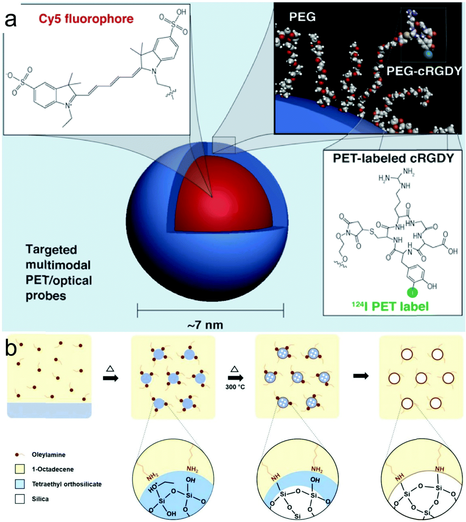 Inorganic nanomaterials with rapid clearance for biomedical