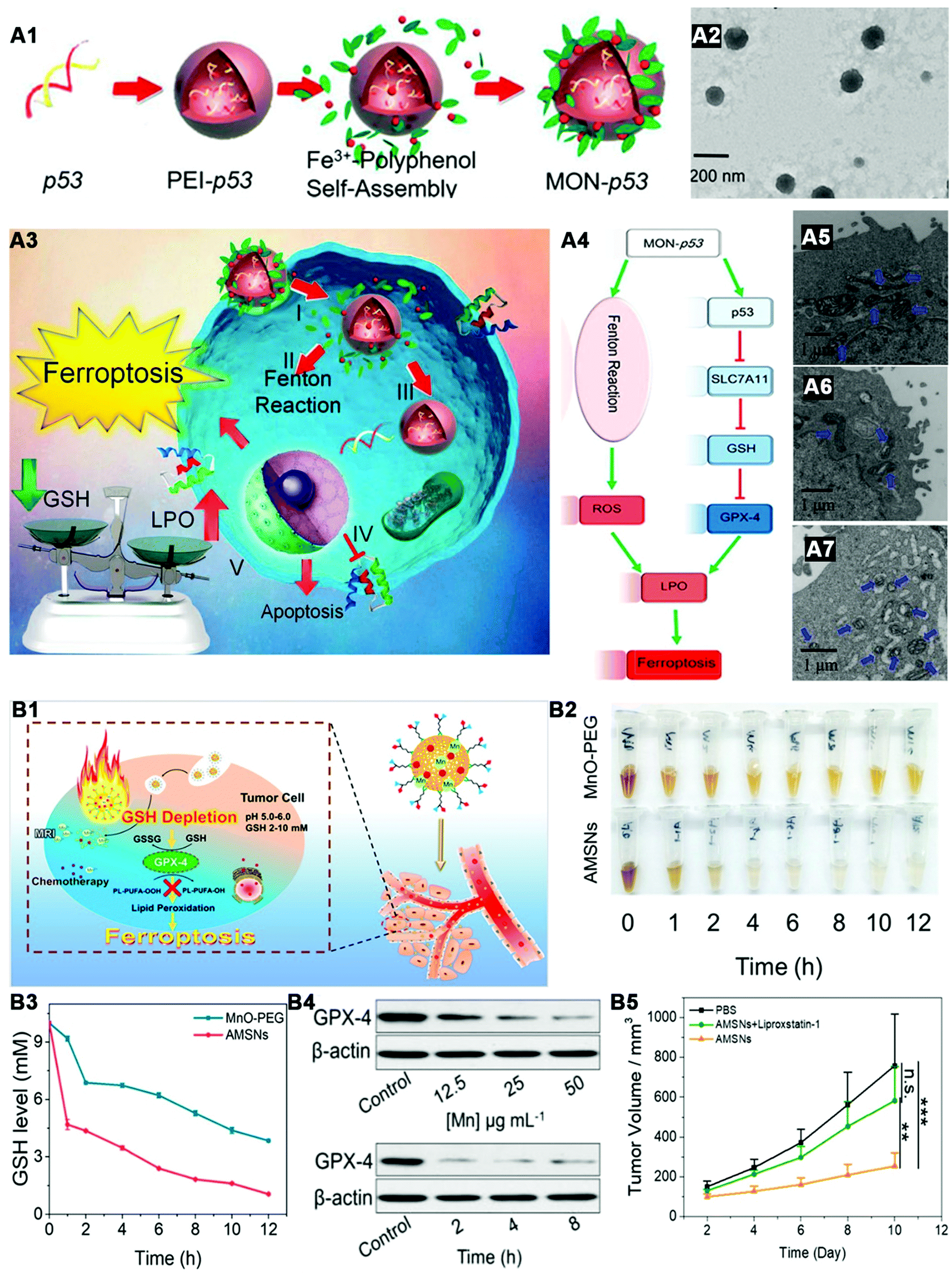 Engineering nanomedicine for glutathione depletion-augmented cancer therapy  - Chemical Society Reviews (RSC Publishing) DOI:10.1039/D0CS00718H