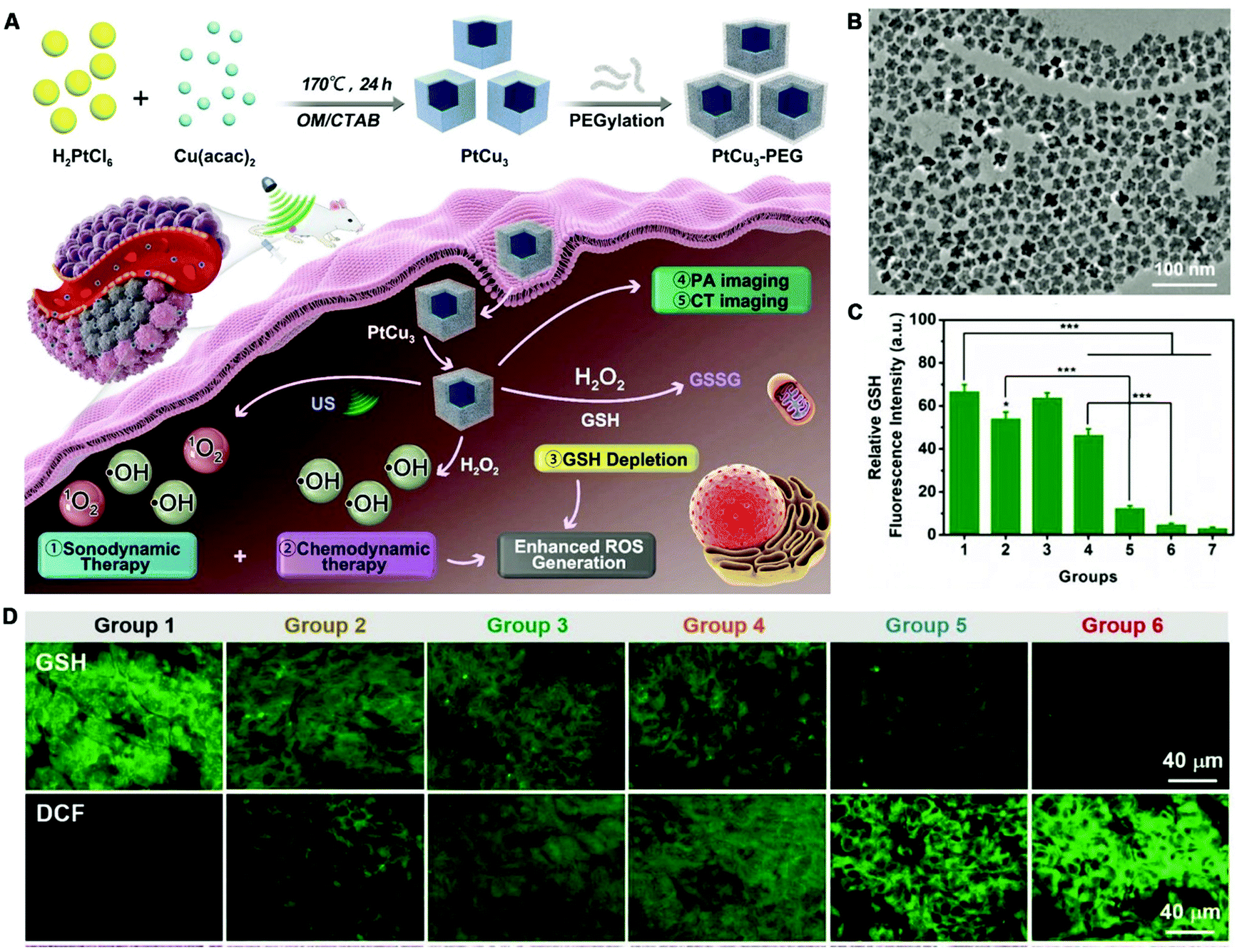 l glutathione ortho molecular products A comprehensive overview of recent developments on the mechanisms and  pathways of ferroptosis in cancer: the main image 0