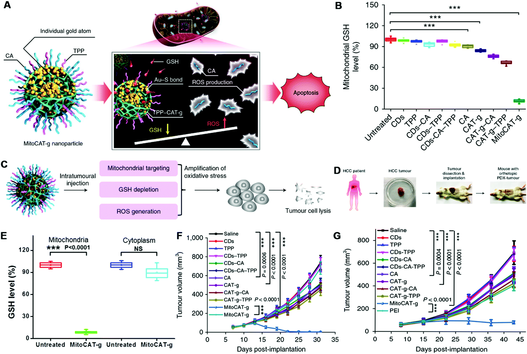 nutricost glutathione capsules Glutathione and Thioredoxin Antioxidant Pathways Synergize to Drive Cancer  Initiation and Progression: Cancer Cell main image 1