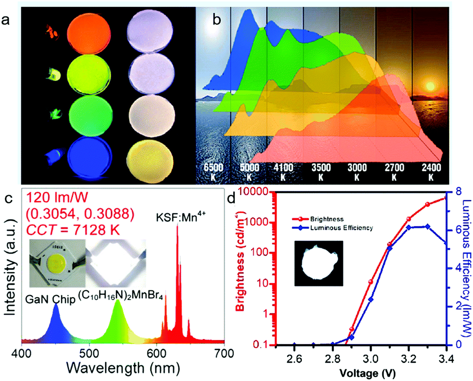 Recent progress of zero-dimensional luminescent metal halides 