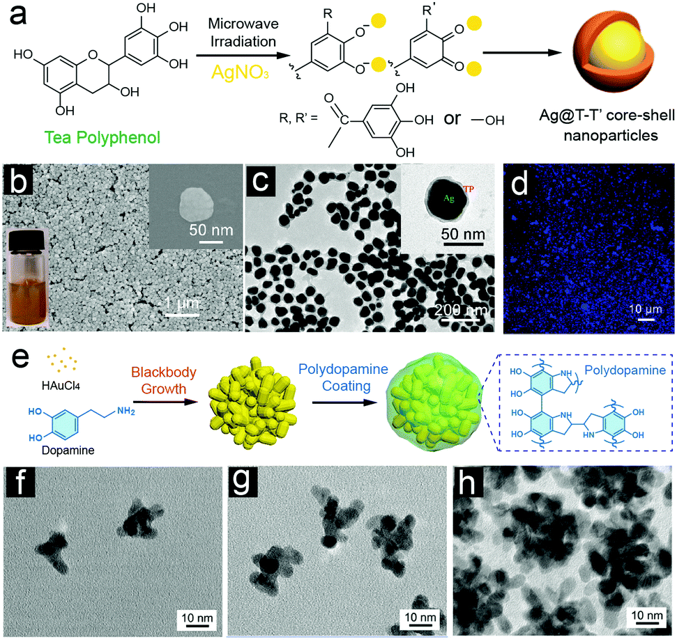 Phenolic-enabled nanotechnology: versatile particle