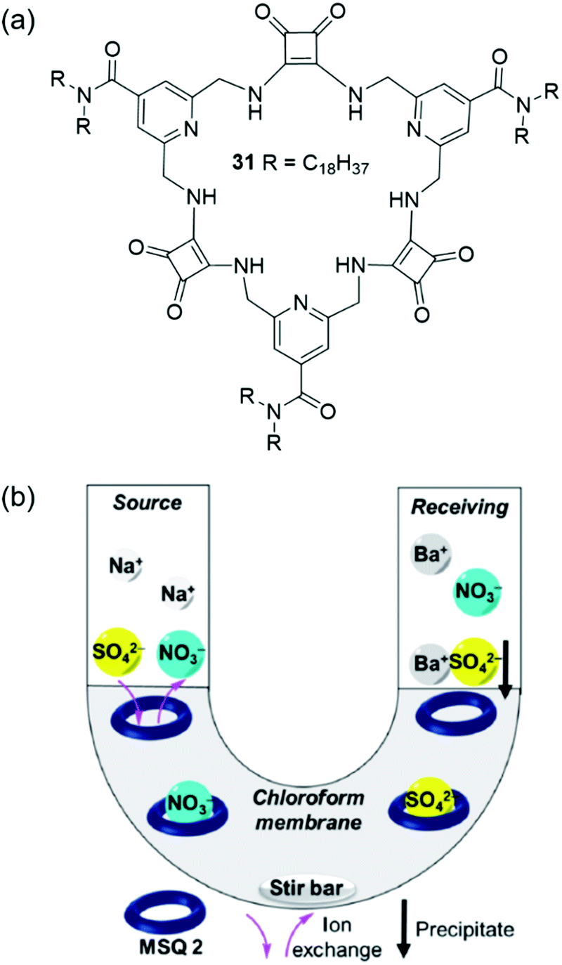 Advances In Applied Supramolecular Technologies Chemical Society Reviews Rsc Publishing Doi 10 1039 D0csb