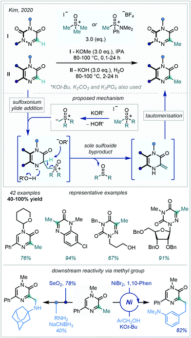 Installing The Magic Methyl C H Methylation In Synthesis Chemical Society Reviews Rsc Publishing Doi 10 1039 D0csc