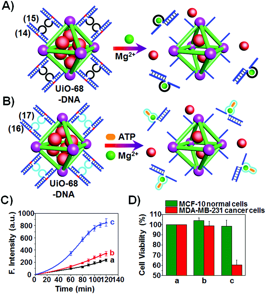 Stimuli Responsive Metal Organic Framework Nanoparticles For Controlled Drug Delivery And Medical Applications Chemical Society Reviews Rsc Publishing Doi 10 1039 D0csh
