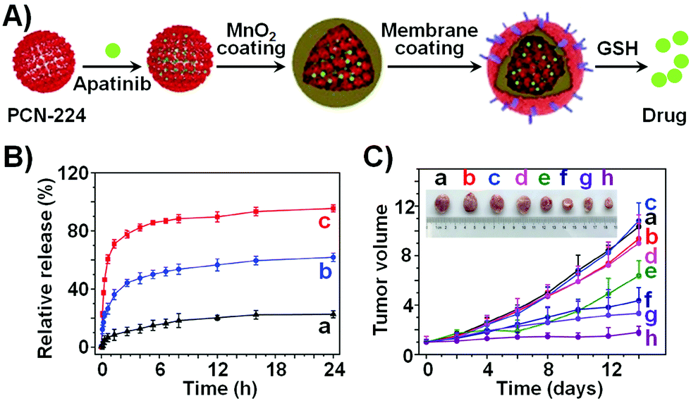 Stimuli Responsive Metal Organic Framework Nanoparticles For Controlled Drug Delivery And Medical Applications Chemical Society Reviews Rsc Publishing Doi 10 1039 D0csh