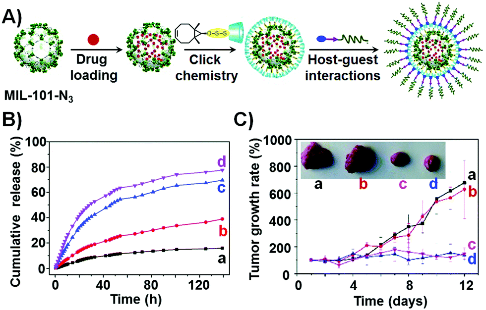 Stimuli Responsive Metal Organic Framework Nanoparticles For Controlled Drug Delivery And Medical Applications Chemical Society Reviews Rsc Publishing Doi 10 1039 D0csh