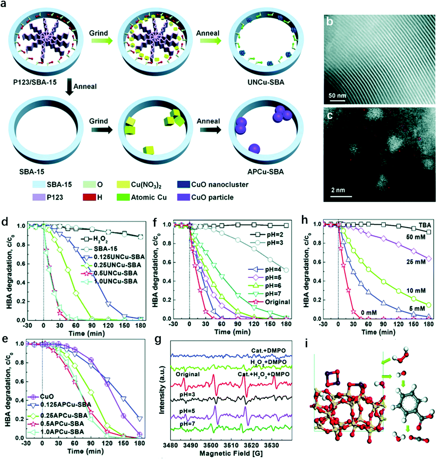 Single-atom catalysis in advanced oxidation processes for