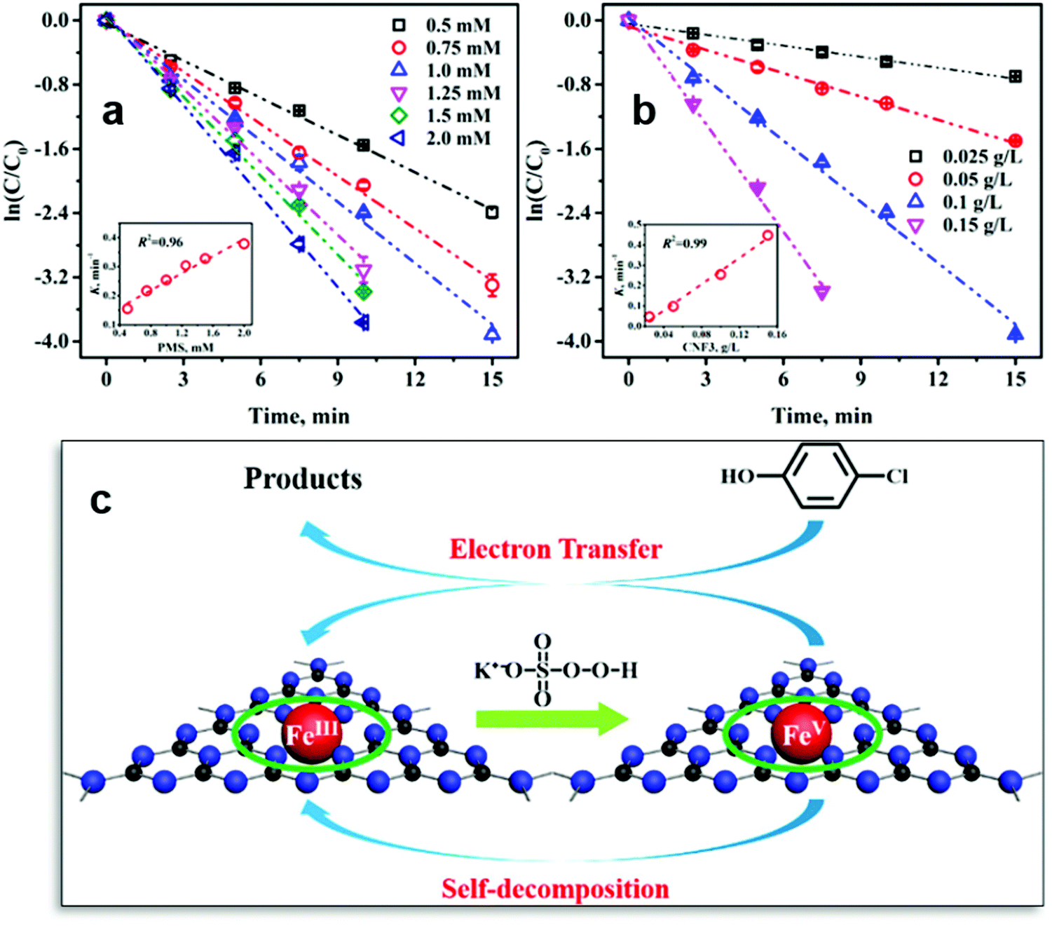 Single-atom catalysis in advanced oxidation processes for 