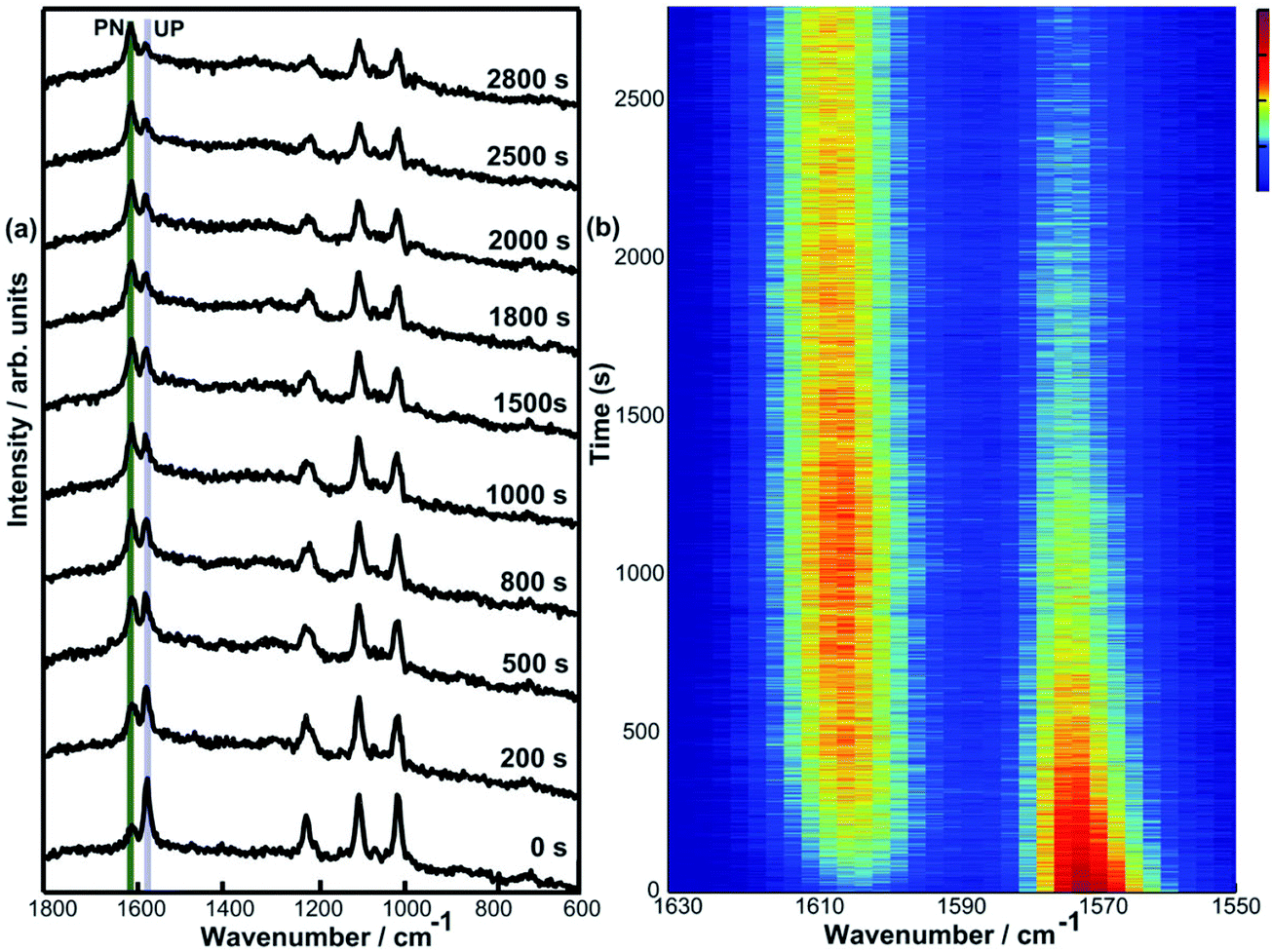 New advances in using Raman spectroscopy for the