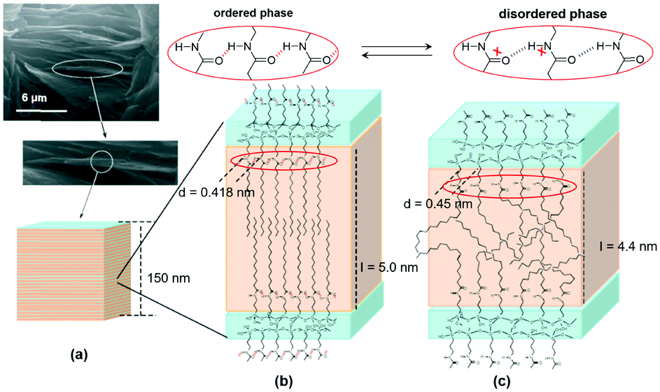 Nonconventional luminophores: characteristics, advancements and
