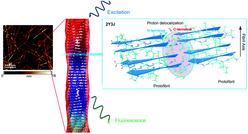 Nonconventional luminophores: characteristics, advancements and