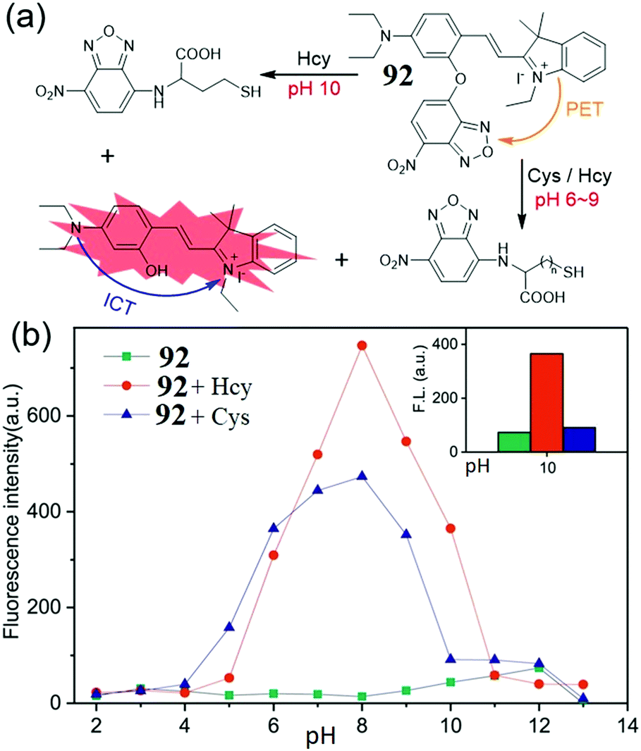 nbd based synthetic probes for sensing small molecules and proteins design sensing mechanisms and biological applications chemical society reviews rsc publishing doi 10 1039 d0cs01096k