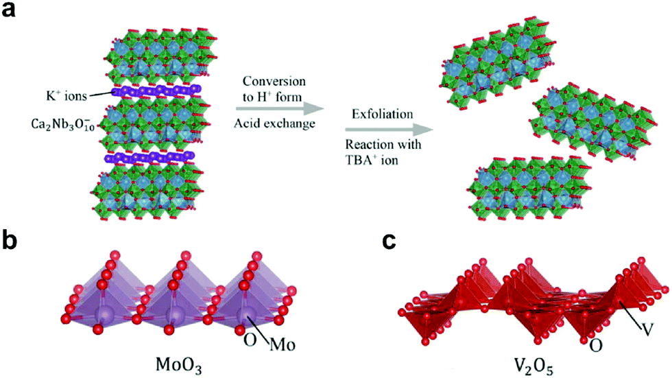 Two-dimensional biomaterials: material science, biological effect