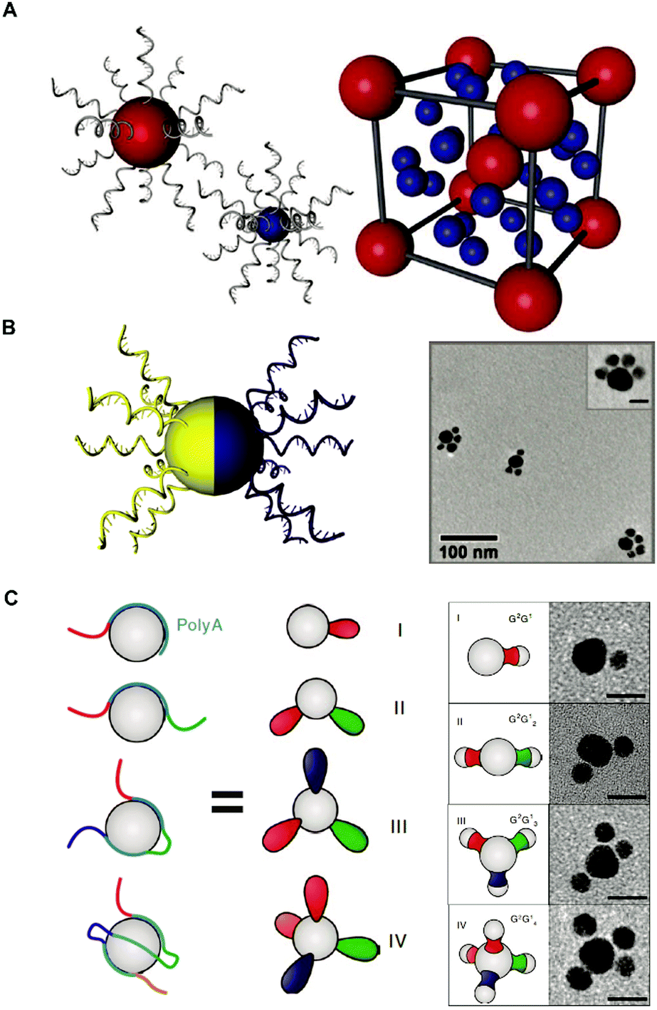 DNA nanotechnology-empowered nanoscopic imaging of