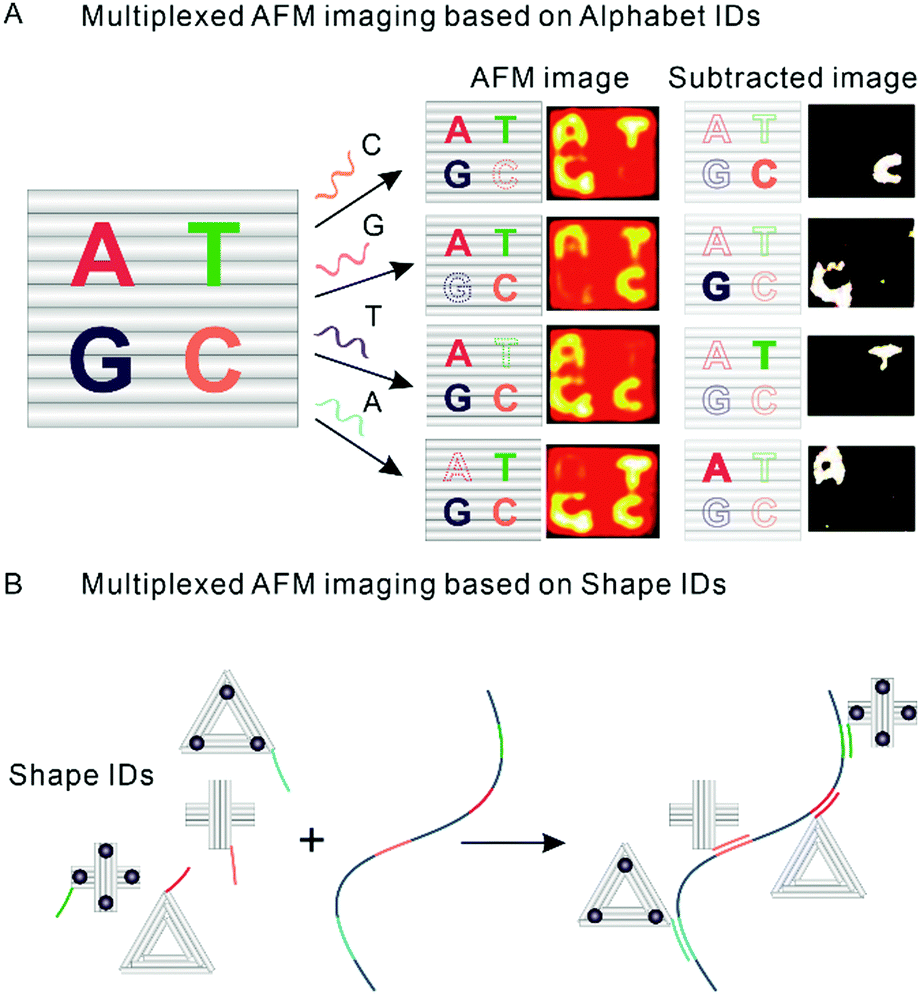DNA nanotechnology-empowered nanoscopic imaging of