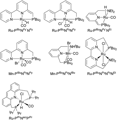 山田 Homogeneous and heterogeneous catalysts for hydrogenation of