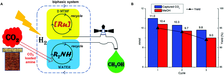 サヨ　パラレル、通常セット サヨ(☆SEC/パラレル)(BT22-102) | SEC/パラレル | ドラゴンスター