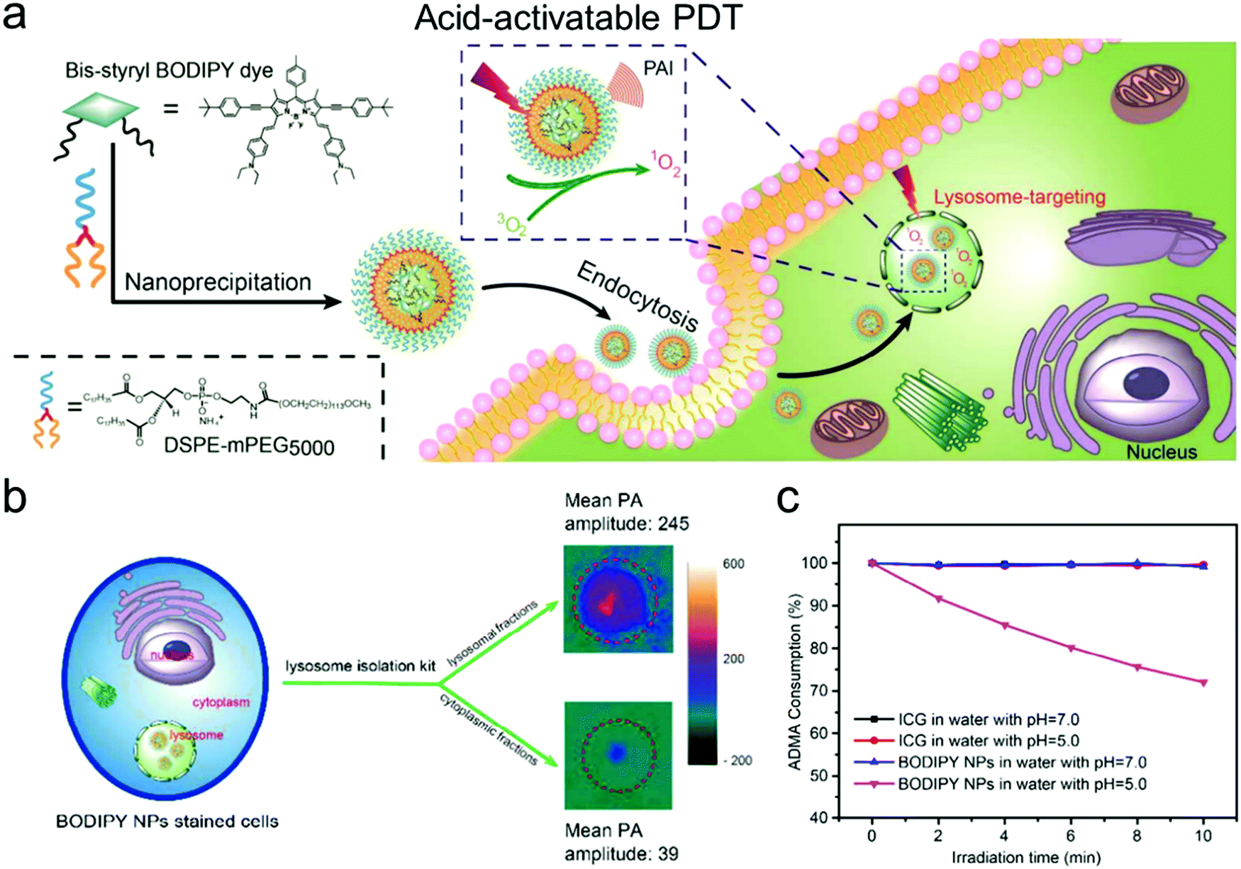Overcoming barriers in photodynamic therapy harnessing nano