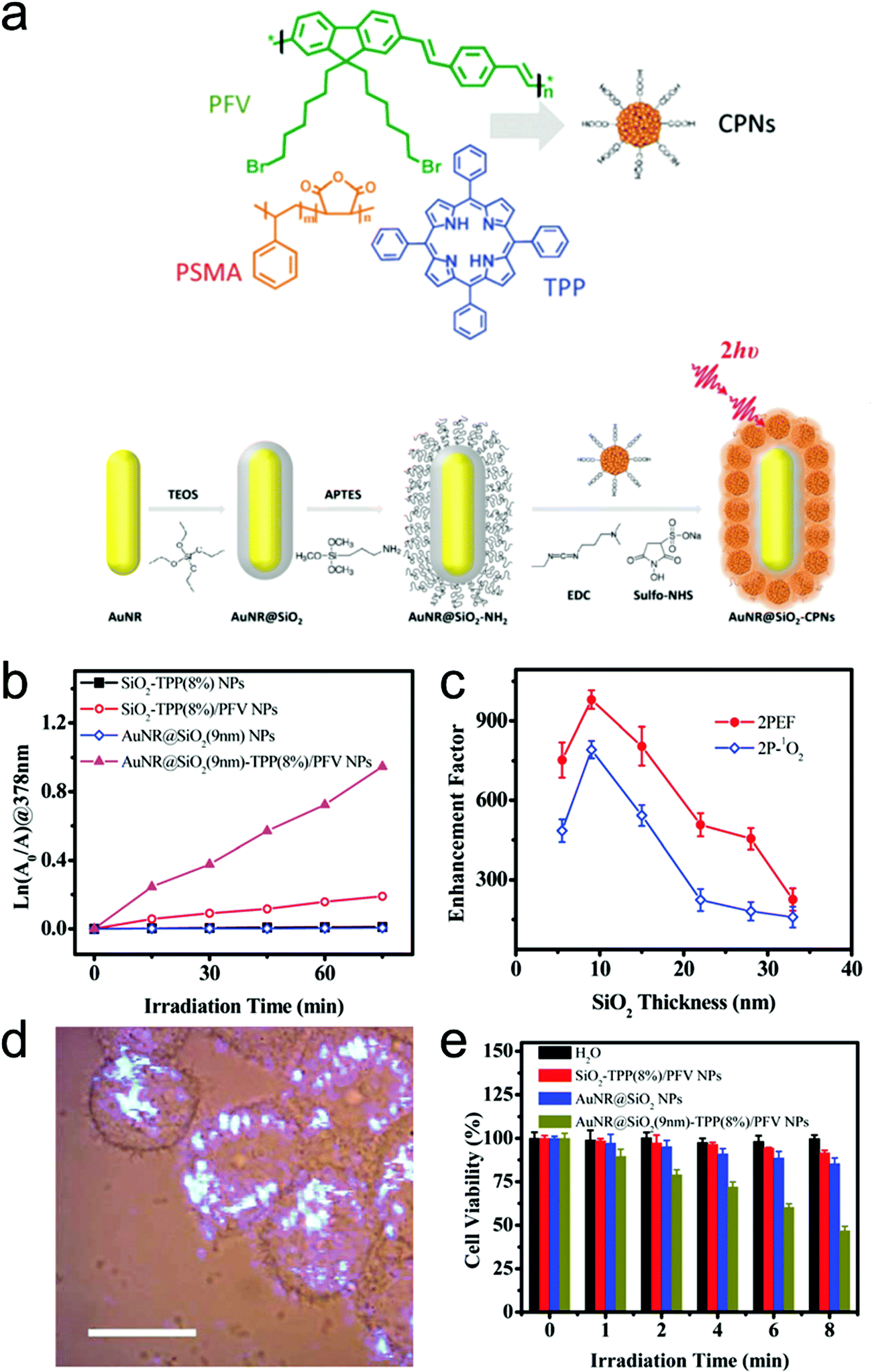 Overcoming barriers in photodynamic therapy harnessing nano 