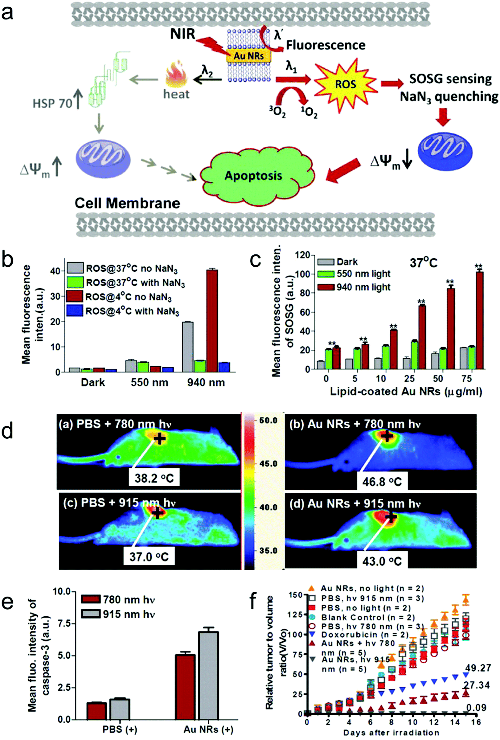 Overcoming barriers in photodynamic therapy harnessing nano