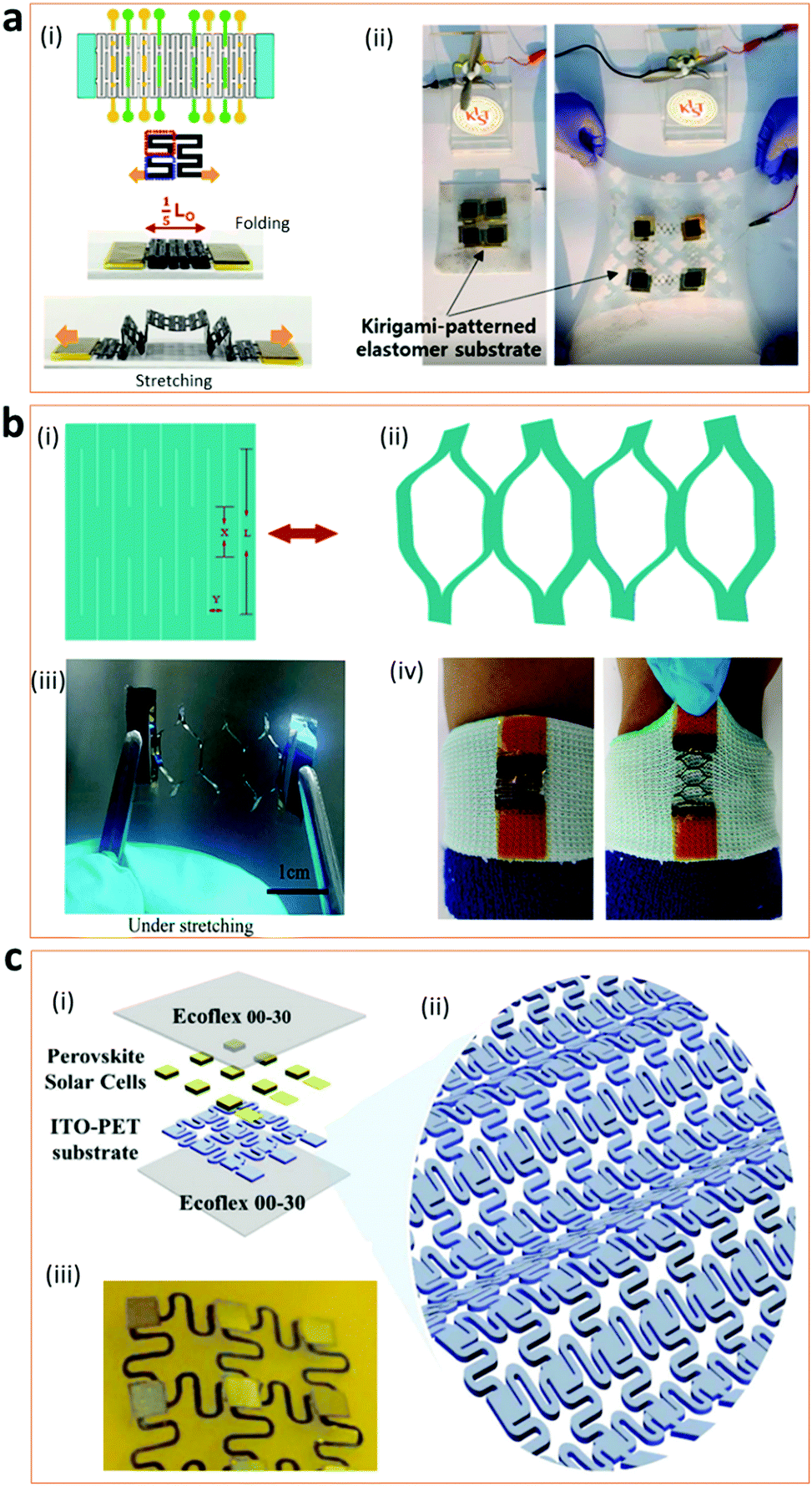 Bio-inspired strategies for next-generation perovskite solar