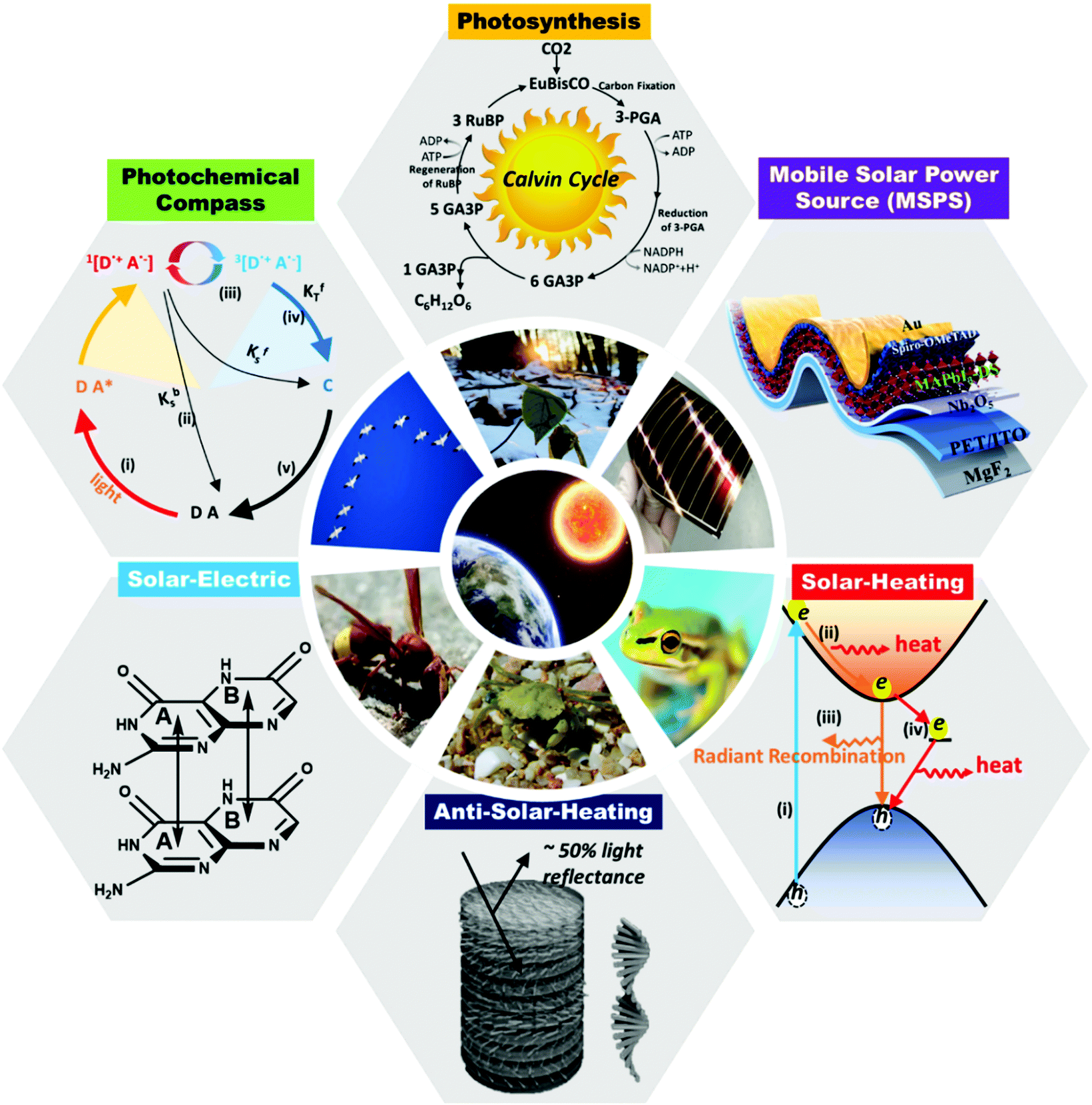 Bio-inspired strategies for next-generation perovskite solar mobile power  sources - Chemical Society Reviews (RSC Publishing) DOI:10.1039/D0CS01493A