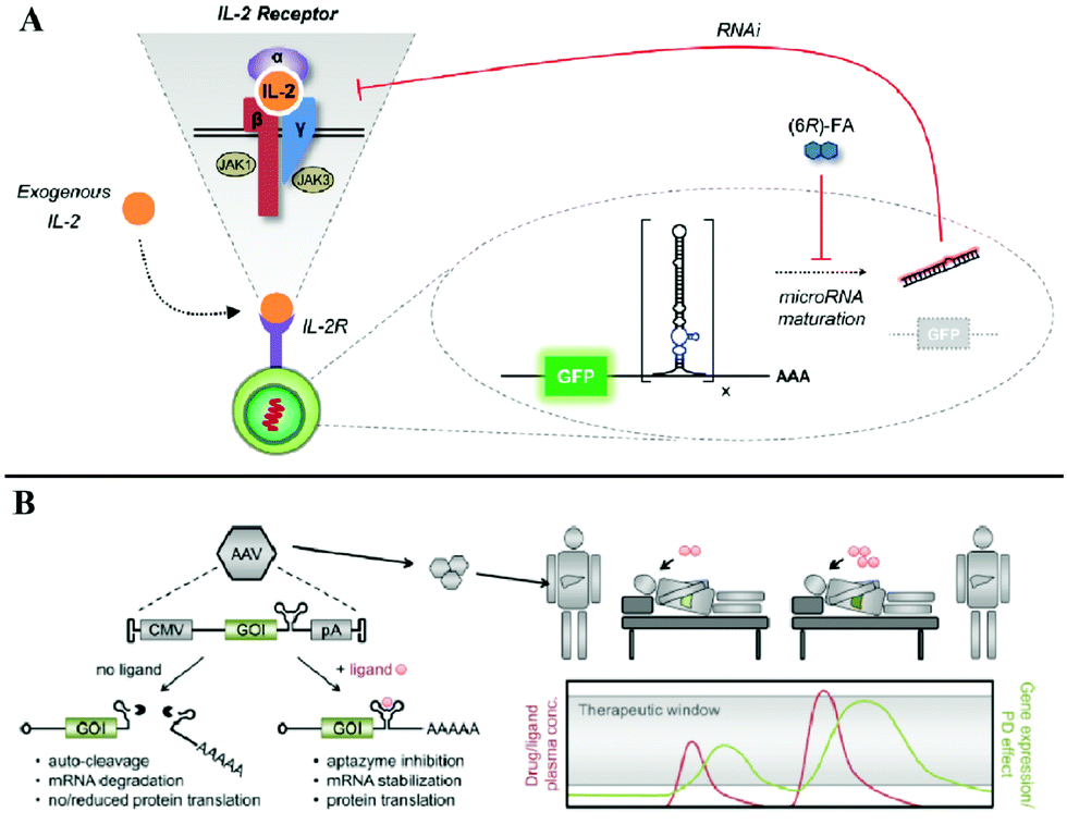 Nucleic acid-based molecular computation heads towards Nucleic acid-based molecular computation heads towards