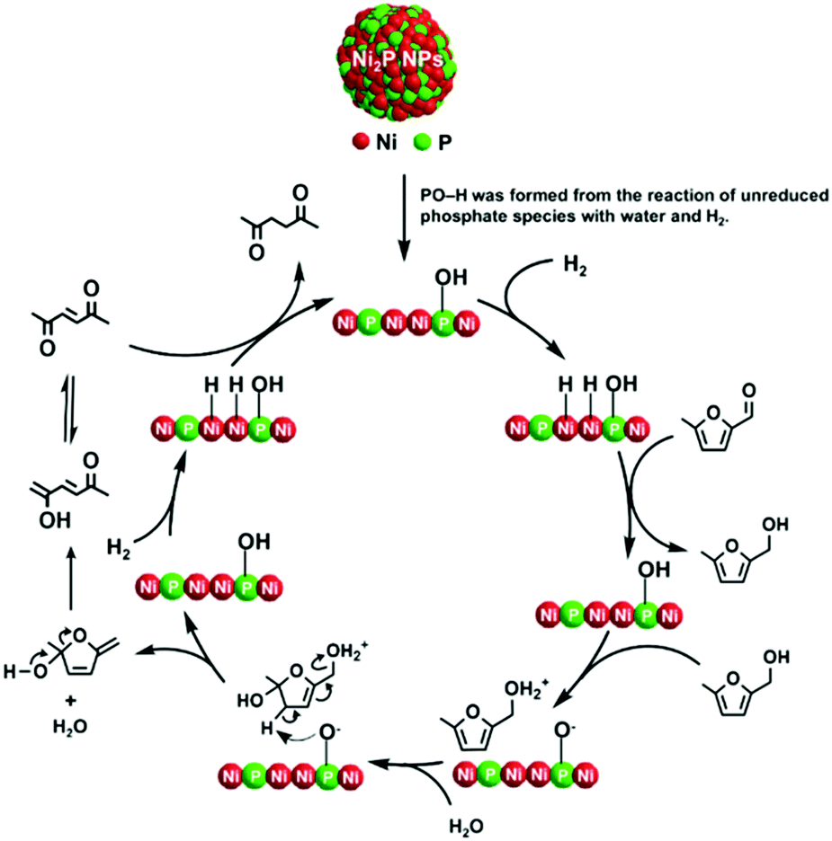 Earth-abundant 3d-transition-metal catalysts for lignocellulosic