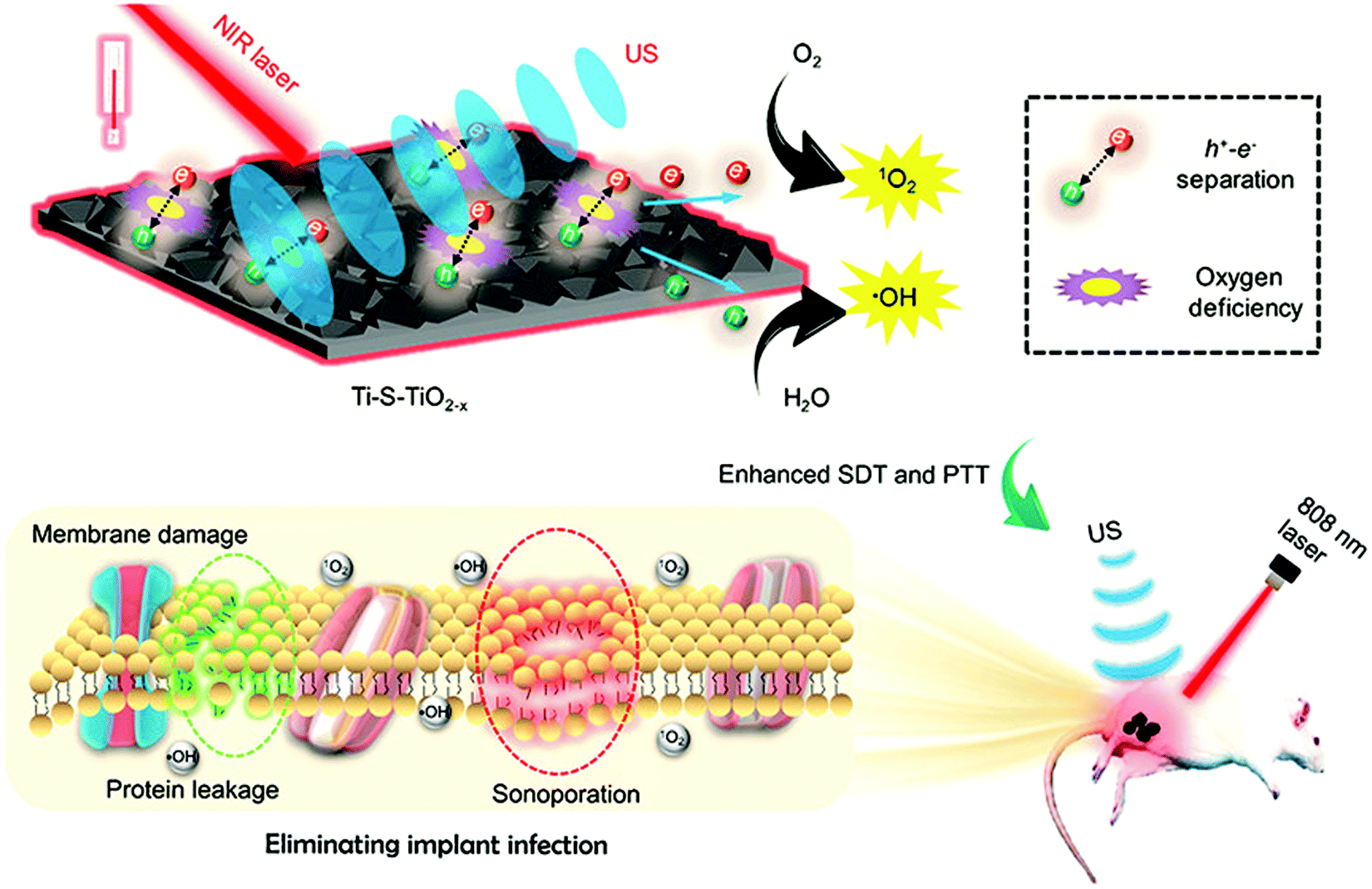 Emerging Photothermal Derived Multimodal Synergistic Therapy In Combating Bacterial Infections Chemical Society Reviews Rsc Publishing Doi 10 1039 D1cs00074h