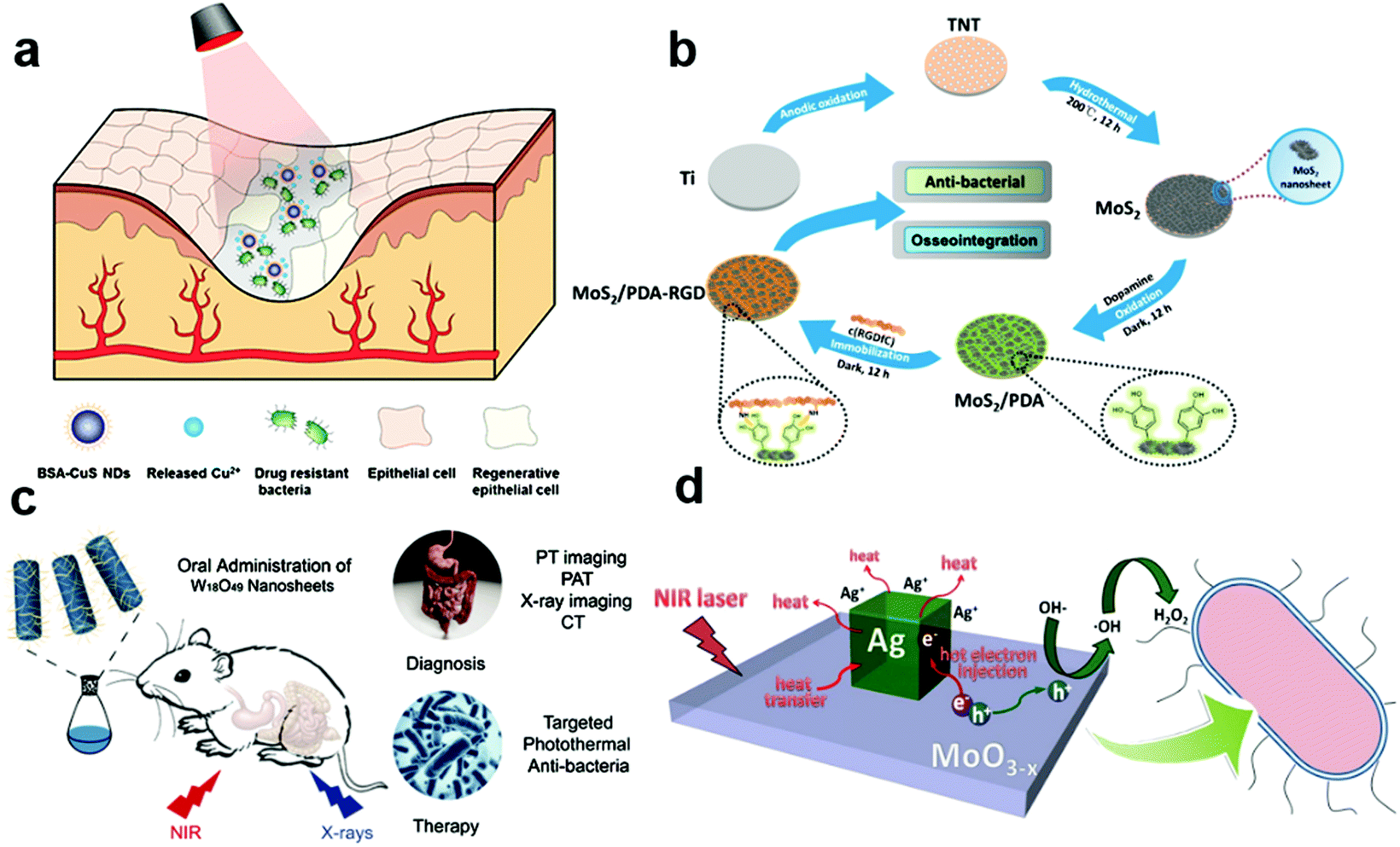 Emerging photothermal-derived multimodal synergistic therapy in 